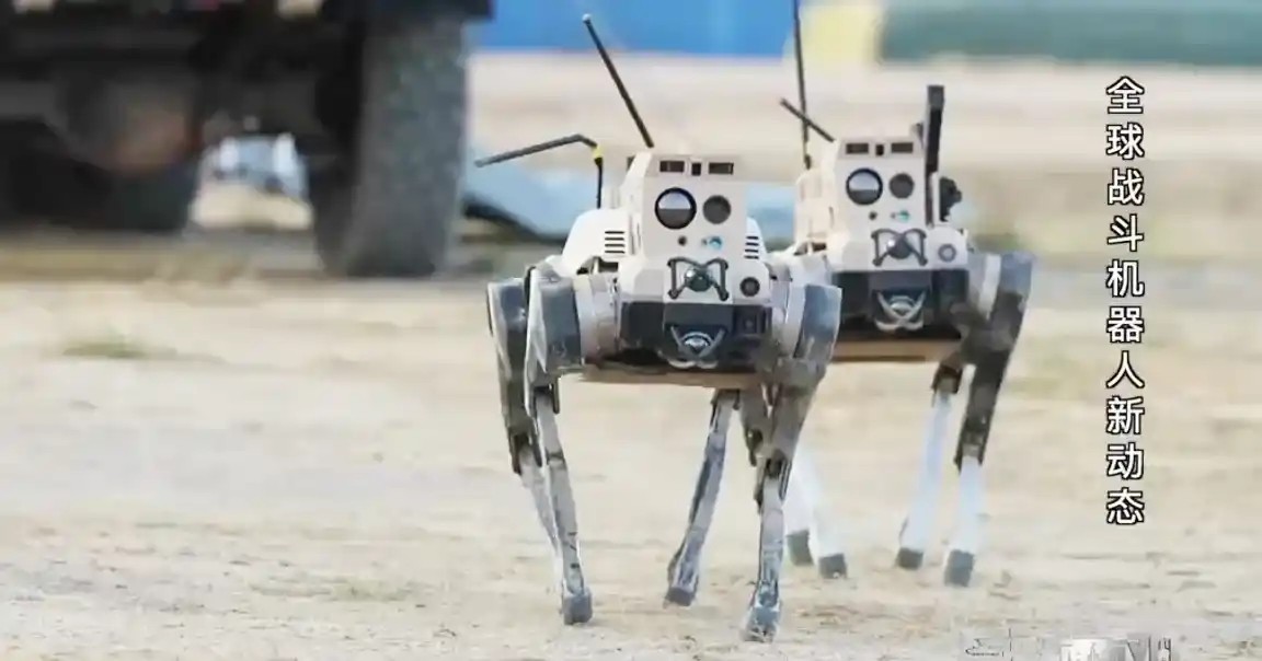 Robot Wolf Chinese UGV (D)